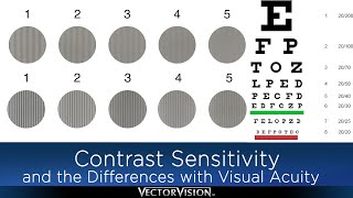 Contrast Sensitivity and how it Differs with Visual Acuity [upl. by Eveiveneg403]