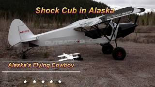 Shock Cub in Alaska [upl. by Lucia751]