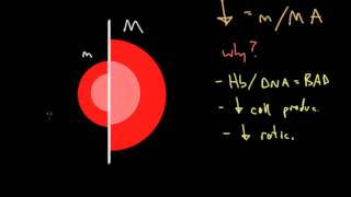 Clinical Approach to Anemia [upl. by Wilbur]