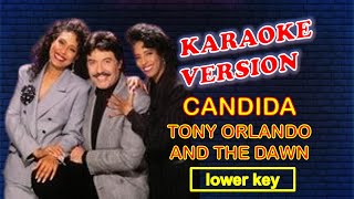 CANDIDA by Tony Orlando and Dawn  Karaoke Version Lower Key [upl. by Ocsicnarf261]