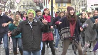 One Billion Rising Lauf an der Pegnitz [upl. by Htebsle]