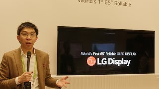 LG Displays 65inch Rollable OLED TV is DOPE [upl. by Savior451]