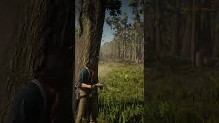 Red Dead Redemption 2 Destroying the bandit camp [upl. by Ylicic148]