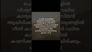 TODAYS BIBLE VERSE 12112024 BIBLE VERSE IN MALAYALAM  2024 shorts malayalam [upl. by Publus]