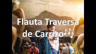 🎉Inti Raymi Zapateado  Flauta Traversa de Carrizo🎶  Sucus [upl. by Noelyn310]