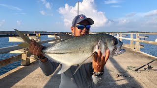 🐠PESCA DE JUREL GRANDE EN CEIBA PUERTO RICO 🐠 [upl. by Natascha825]