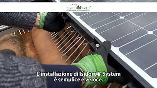 Pannelli solari infestati dai volatili Proteggili con Isidoro® System [upl. by Ailema322]