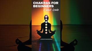 CHAKRAS for BEGINNERS – A Quick Guide [upl. by Michel]