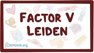 Factor V leiden  an Osmosis Preview [upl. by Freya969]