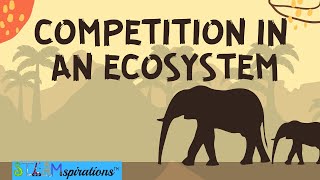 Competition in an Ecosystem Mutualism Intraspecific Interspecific Relationships [upl. by Quillan]