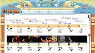 The Bear Song  Green Jelly  Guitaraoke  Chords amp Lyrics [upl. by Ailisab]