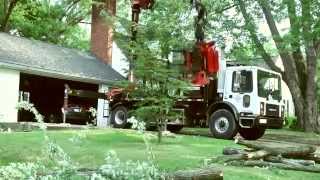 GERASIMEKS TREEMEK Mecanil SG220 Grapplesaw and Tiffin Loader Crane [upl. by Ayanet241]