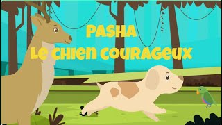 PASHA LE CHIEN COURAGEUX  HISTOIRE POUR PETITS  CONTES EN FRANCAIS  FRENCH FAIRY TALES [upl. by Arodal]