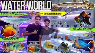 Shop Visit97 Most Awaited Aquarium Fish Stock At Water World Aquarium Fish Shop New Varaties [upl. by Noiek697]