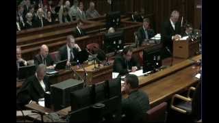 Oscar Pistorius Trial Monday 30 June 2014 Session 1 [upl. by May]