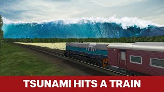 TSUNAMI HITS A TRAIN  Sri Lanka TSUNAMI Train Wreck 2004 [upl. by Abbate]