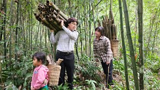 James came to help Sung Luyen get more firewood on a cold winter morning  What can love do [upl. by Nomit]