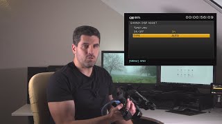 How to record HDR Choosing HLG or SLog gamma curves in your camcorder [upl. by Mcgrody519]