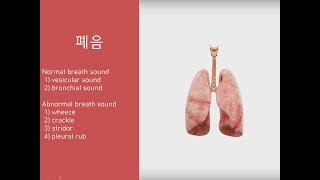 허내과 폐음 Lung sounds [upl. by Forelli]