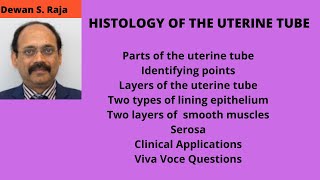 HISTOLOGY OF THE UTERINE TUBE [upl. by Stanfill]