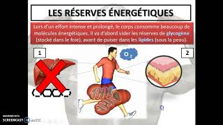 Cours 37b  Le système musculaire 2e partie [upl. by Hewe]