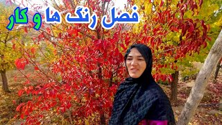 فصل خزان جاغوری زیبا و  jaghorinews [upl. by Odnamla592]