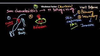 Virulence factors of bacteria [upl. by Lemhaj418]