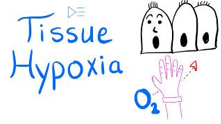 Tissue Hypoxia  Respiratory Physiology amp Pathology  Pulmonary Medicine [upl. by Deehan]