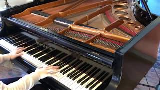 Spirited Away Joe Hisaishi  Reprise  Waltz of Chihiro  Piano [upl. by Waxman793]