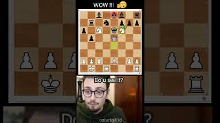 ♘f6 Zimmermann vs Huebner 1977 Brilliant Move💎 [upl. by Torrin]