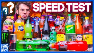 Riconosci la BIBITA  Speed Test [upl. by Velick]