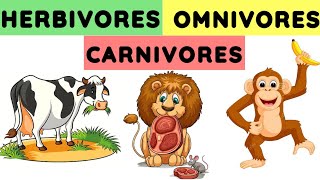 Herbivores carnivores and omnivores  Animals and their food  Eating habits of animals herbivores [upl. by Hyacinthe]