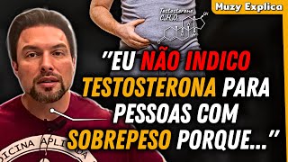 TESTOSTERONA E SOBREPESO Por que é preciso cautela  Muzy Explica [upl. by Feingold]