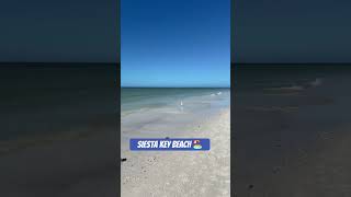 Siesta Key Beach siesta keybeach sarasota sarasotarealestate stunning shortsvideo [upl. by Claribel]