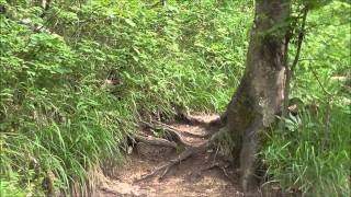 Bergtour auf den kleinen Sonnstein Traunkirchen Oberösterreich [upl. by Barnett]