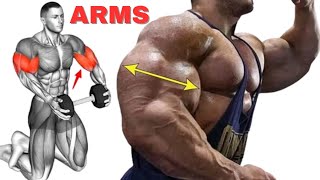 TOP 8 EXERCISES To Get Bigger Arms In 30 DAYS   Home Workout [upl. by Fredericka]