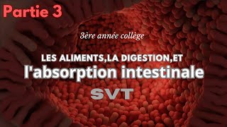 chapitre1 les aliments la digestion et labsorption intestinale Partie 3 labsorption intestinale [upl. by Leyameg]