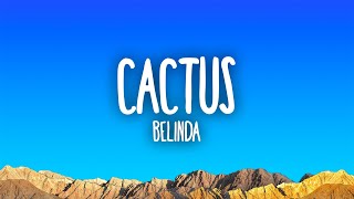 Belinda  Cactus [upl. by Kayne]