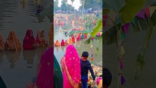 Amritsar se unke Lageke karelu chhath baratiyaSevan ke Lage 🙏🙏 [upl. by Ailed437]