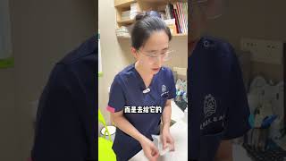 猫咪洗耳朵的正确方法 新手养猫指南 新手养猫 养猫好物 宠物知识 猫咪 猫 宠物 兽医 [upl. by Arod]