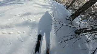 Serre chevalier freeride Fôret Le Mônetier les Bains [upl. by Nosyla]