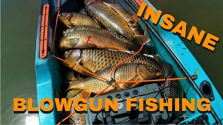 Insane Blowgun fishing [upl. by Ehtyaf]