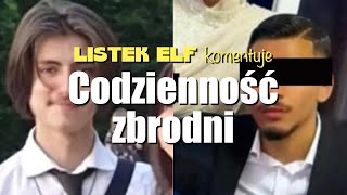 Czy żyjemy jeszcze w bezpiecznym kraju Bezsensowna zbrodnia w Bad Oeynhausen [upl. by Ettenig]