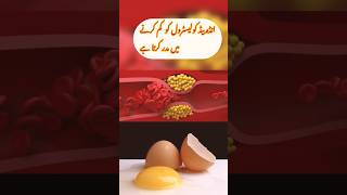 Egg benefits for good heart health  bad cholesterol levels cholesterol youtubeshorts [upl. by Owen]