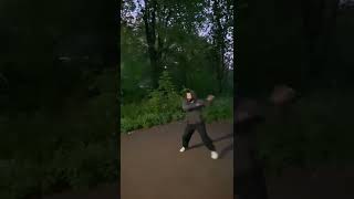 Hebei Xing Yi Quan  Master Hai Yang Xing Yi  Pao Quan  Cannon Fist [upl. by Lemak]