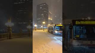 Chicago Welcome to the Winter Wonderland snowychicago [upl. by Nalhsa493]