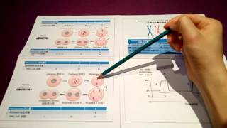 DSE Bio 細胞分裂 Cell Division 5 減數細胞分裂與染色體數目Meiotic Cell Division and Chromosome Number [upl. by Nolan]