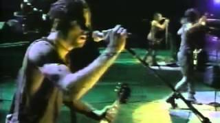 Nine Inch Nails at Woodstock 1994 A Full Concert [upl. by Ladd]