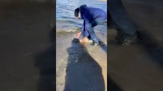 Everytime you catch a sturgeon this happens fishingsturgeonfishingvideo [upl. by Kcolttam]