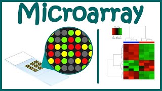 Microarray Technique  DNA Microarray  Gene expression analysis using microarray [upl. by Nairred]